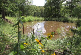 Living Off the Grid Essentials: Considerations for Getting Started